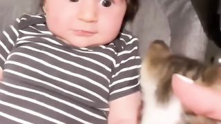 When Your Baby Falls In Love With Your Eight Rescue Cats | The Dodo   #mdr #good