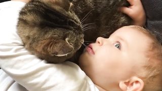 Adorable Baby Chats with Kitten! @tiktok #photooftheday #