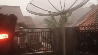 Rain in the afternoon accompanied by a cat