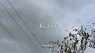 Funny Videos 30