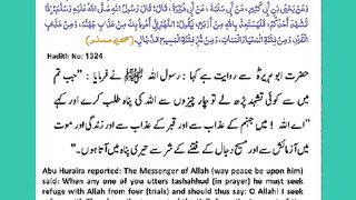 اسلامی معلومات 513