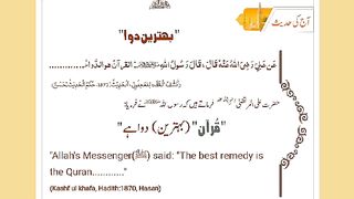 اسلامی معلومات 516
