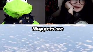 Kermit with the rizz