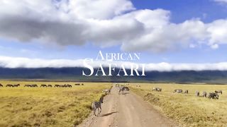 Wildlife of African Savanna African Safari 4K - Amazing #wildlifeofafricansavanna