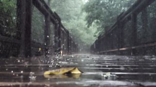 rain drops in slow motion