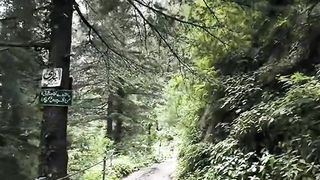 Pipeline Track Donga Gali Ayubia
