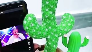 Dancing cactus 2