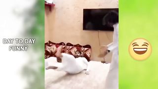 Most funny moment...