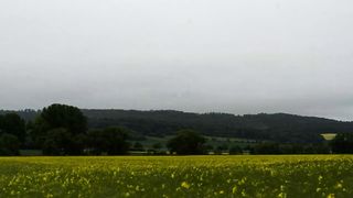 Atmosfer Storm over Blooming Rapeseed: Dramatic Nature Display near Bad Salzdetfurth