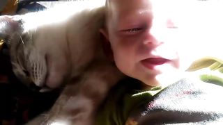 Cute Babies Snuggling Cats ???????? Funny Cat loves Baby Compilation