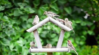 istockphoto-1420794449-640_adpp_is.