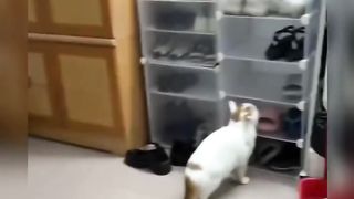 Funny