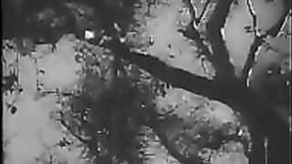 Laramie 6