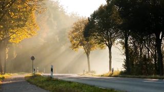 Nature Beautiful short video 2