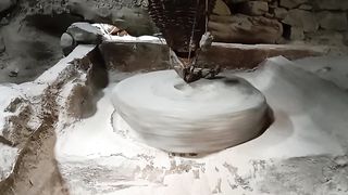 Dasi chaki