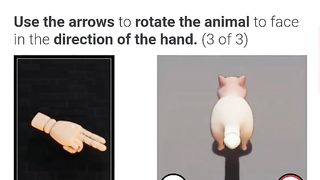 Comedic Chronicles | "Are You Human? Well, Enough to Laugh at This Tail? Shadow!" - A Whim | FunFM
