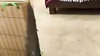 Doggy Delight | "A Morning at the Doggy Daycare" - Canine Adventures Unleashed | FunFM
