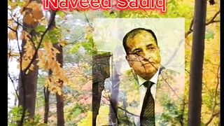 کھلا تھا پھول شاخ وصل پر بھی : نوید صادق