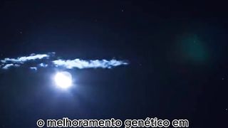 Os Benefícios do Melhoramento Genético em Animais.