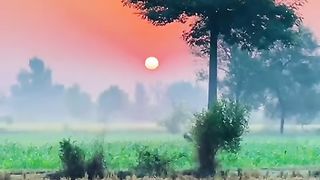 Good morning 61