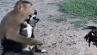 Awesome Video Best So