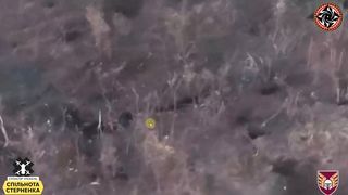 Ukraine Russia War | Ukrainian FPV Drone Hits Russian Soldier and Ammunition Depot Simulta | RCF