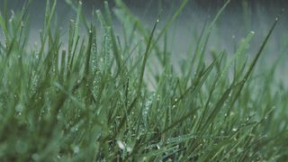 Beauty of Nature 12