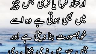 Daily Hadees | Hadees Sharif |Sahih muslim hadees 2102 | Hadith