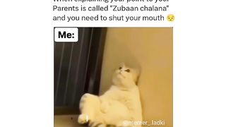 #Funnyvideo