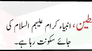 فلسطین کی سرزمین