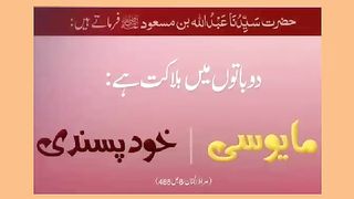 اسلامی معلومات 517