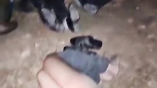 Israel War | Large Number of Hamas Captured | RCF