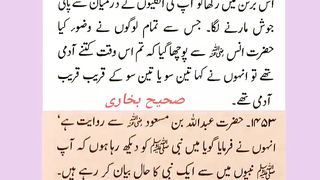 اسلامی معلومات 528
