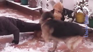 the clip that made you laugh 2