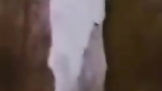 Goats 6