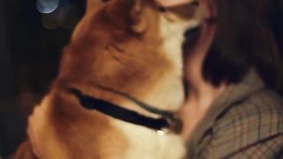 Love dog 2