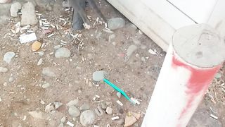 New funny cat febspot