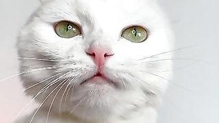 THIS IS THE CUTEEST VIDEO  .
