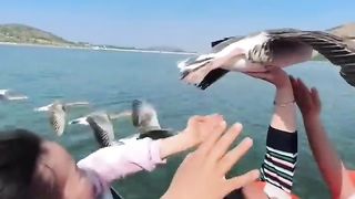 Китайцы прокатили летящую утку на моторной лодке.