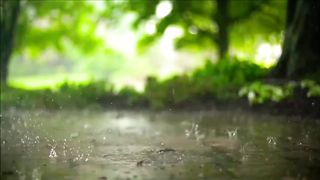 Rain Sounds 15 Seconds Whatsapp Status