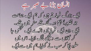 Insan bada be saber he | انسان بڑا بے صبرہے