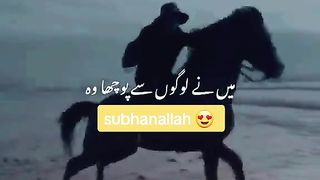 ali mola 2