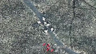 Ukraine Russia War | Precise Ukrainian Drone Strike on Group of Russians | RCF