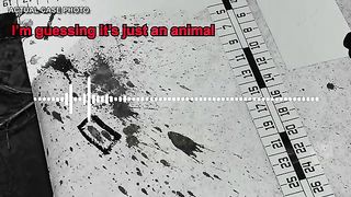 dossier d'enquête avec rebondissement / Investigation Case with huge twist