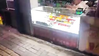 cat sleeping in showcase