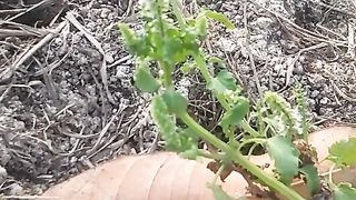 Animal lovers