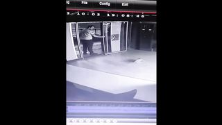 FUNNY CAT MEMES COMPILATION OF 2023 V31