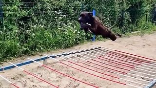 Супер сальто.