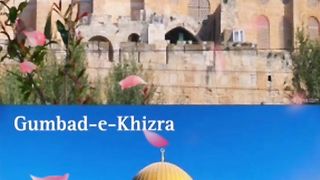 #freepalestine