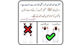 Namaz Ka Sahi Tarika | نمازِ نبوی کا طریقہ  #namaz #namazkatarika #namazenabvi
